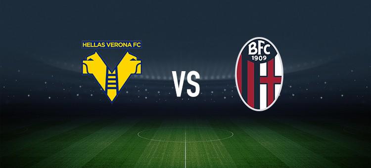 界的传奇 界的传奇